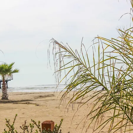 Cinco 1398 Lägenhet