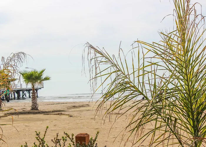 Cinco 1398 Apartmán